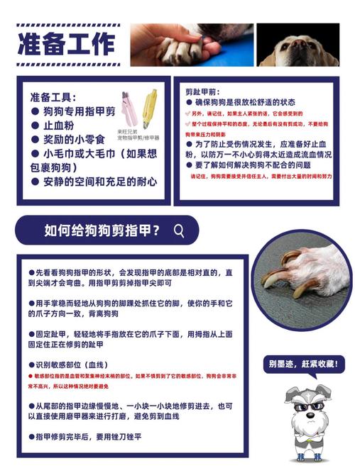 怎么帮狗狗剪指甲,帮狗狗剪指甲剪到血线会怎么样?-第6张图片-后鲨宠物 怎么帮狗狗剪指甲,帮狗狗剪指甲剪到血线会怎么样?-第6张图片-后鲨宠物