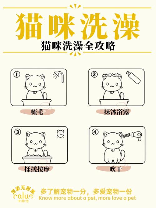 小猫咪多久可以洗澡,怎么给小猫洗澡最简单的方法-第4张图片-后鲨宠物 小猫咪多久可以洗澡,怎么给小猫洗澡最简单的方法-第4张图片-后鲨宠物