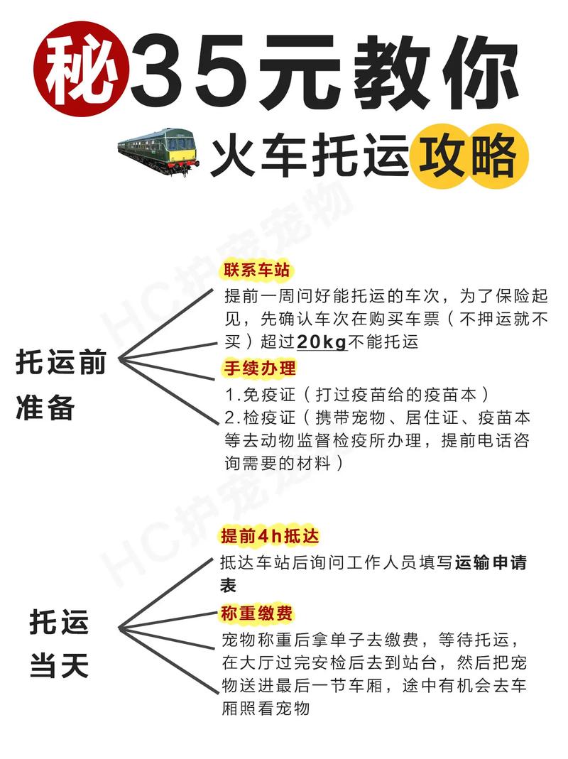 火车托运狗狗安全吗,火车托运狗狗遭罪吗?-第4张图片-后鲨宠物 火车托运狗狗安全吗,火车托运狗狗遭罪吗?-第4张图片-后鲨宠物