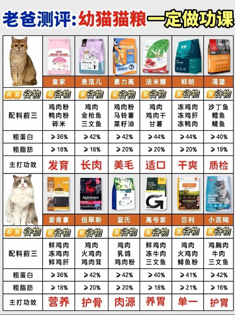  幼猫猫粮推荐，幼猫猫粮推荐知乎