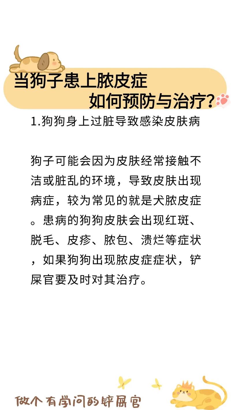 狗狗得了脓皮症根治的了吗，狗狗脓皮症治不好？-第4张图片-后鲨宠物
