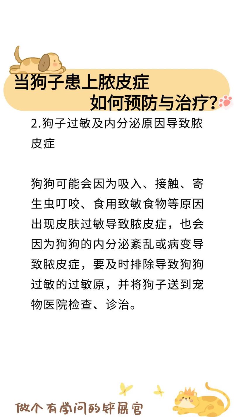 狗狗得了脓皮症根治的了吗，狗狗脓皮症治不好？-第5张图片-后鲨宠物
