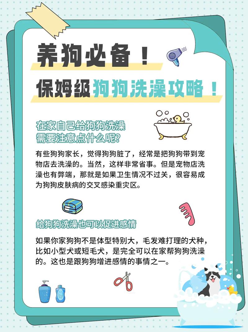狗狗三天洗一次澡行吗,养狗的人容易得15种病-第4张图片-后鲨宠物 狗狗三天洗一次澡行吗,养狗的人容易得15种病-第4张图片-后鲨宠物