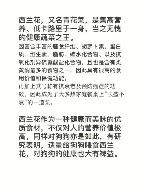 西兰花狗狗可以吃吗,狗子可以吃西兰花-第3张图片-后鲨宠物 西兰花狗狗可以吃吗,狗子可以吃西兰花-第3张图片-后鲨宠物