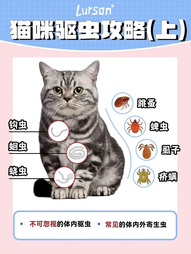 猫咪没驱虫会怎么样,猫咪没驱虫会怎么样?-第4张图片-后鲨宠物 猫咪没驱虫会怎么样,猫咪没驱虫会怎么样?-第4张图片-后鲨宠物