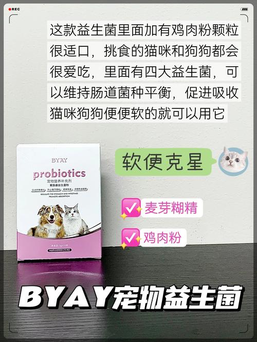猫咪吃什么益生菌_猫咪吃什么益生菌比较好-第5张图片-后鲨宠物 猫咪吃什么益生菌_猫咪吃什么益生菌比较好-第5张图片-后鲨宠物