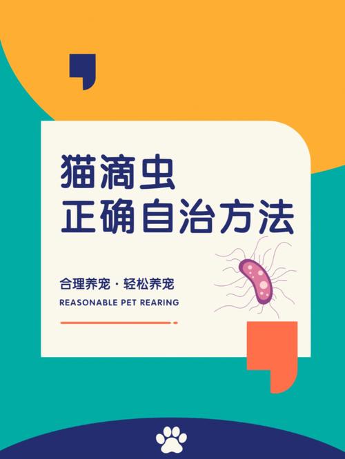 猫咪滴虫感染怎么办,猫猫滴虫感染是怎么引起的?-第2张图片-后鲨宠物 猫咪滴虫感染怎么办,猫猫滴虫感染是怎么引起的?-第2张图片-后鲨宠物