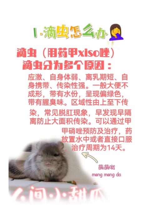 猫咪滴虫感染怎么办,猫猫滴虫感染是怎么引起的?-第3张图片-后鲨宠物 猫咪滴虫感染怎么办,猫猫滴虫感染是怎么引起的?-第3张图片-后鲨宠物