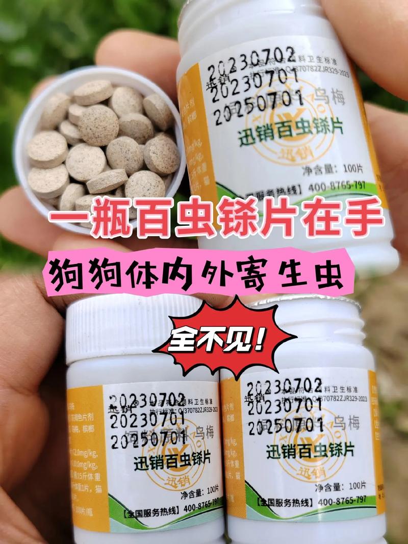 给狗狗驱虫用什么药_给狗狗驱虫用什么药便宜些-第3张图片-后鲨宠物