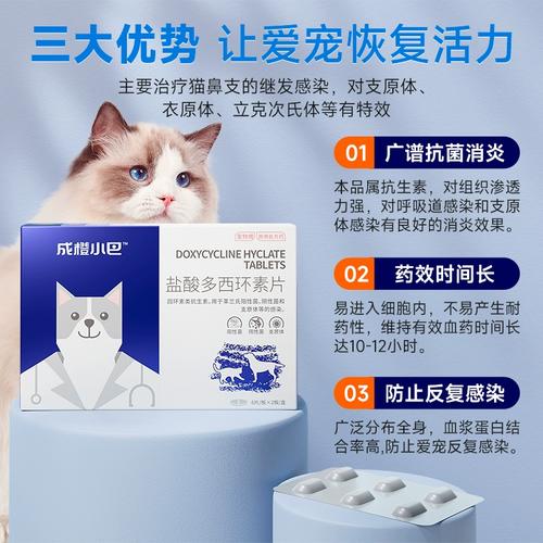 猫咪着凉感冒吃什么药,猫咪着凉感冒吃什么药效果好?-第1张图片-后鲨宠物 猫咪着凉感冒吃什么药,猫咪着凉感冒吃什么药效果好?-第1张图片-后鲨宠物