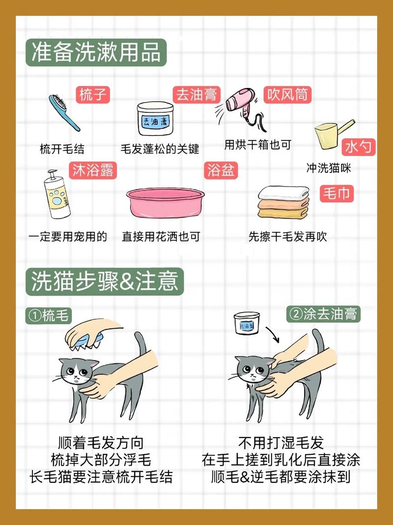 小猫咪可以洗澡吗,猫可以天天洗澡吗?-第4张图片-后鲨宠物 小猫咪可以洗澡吗,猫可以天天洗澡吗?-第4张图片-后鲨宠物