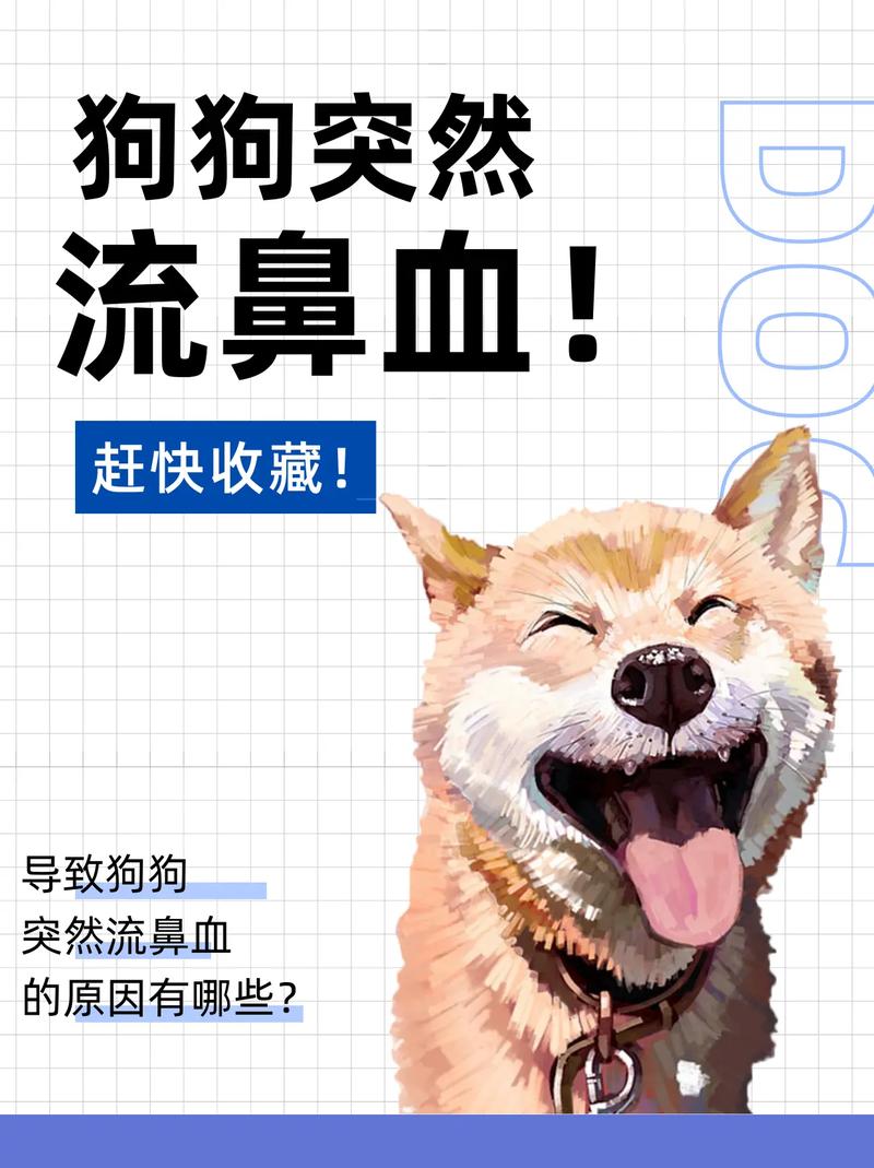 狗狗流鼻血怎么回事，狗狗流鼻血是怎么了？