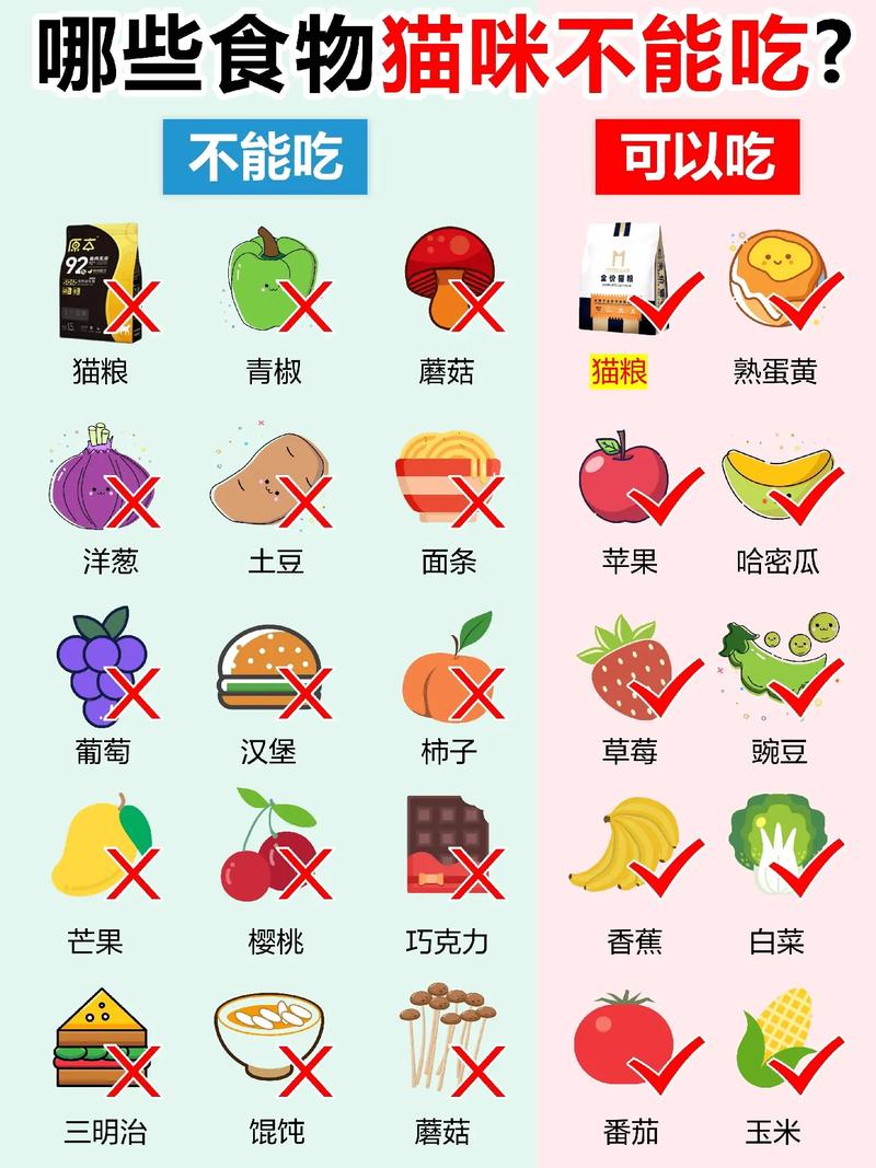 猫咪可以吃板蓝根吗_猫可不可以吃板蓝根-第2张图片-后鲨宠物