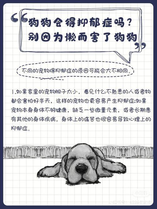 狗狗会不会得抑郁症_狗狗会得抑郁吗-第3张图片-后鲨宠物 狗狗会不会得抑郁症_狗狗会得抑郁吗-第3张图片-后鲨宠物