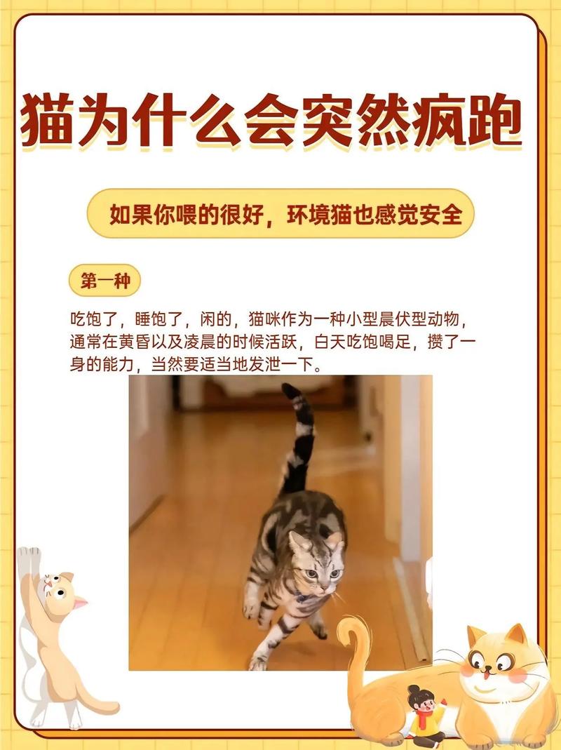 猫咪老是叫是怎么回事,猫咪总是叫是为啥?-第1张图片-后鲨宠物 猫咪老是叫是怎么回事,猫咪总是叫是为啥?-第1张图片-后鲨宠物
