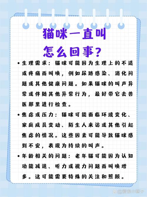 猫咪老是叫是怎么回事,猫咪总是叫是为啥?-第4张图片-后鲨宠物 猫咪老是叫是怎么回事,猫咪总是叫是为啥?-第4张图片-后鲨宠物