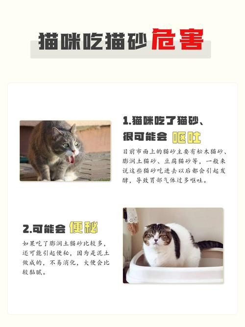 猫咪为什么会吃猫砂_猫咪为什么会吃猫砂呢