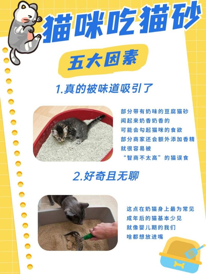 猫咪为什么会吃猫砂_猫咪为什么会吃猫砂呢-第5张图片-后鲨宠物 猫咪为什么会吃猫砂_猫咪为什么会吃猫砂呢-第5张图片-后鲨宠物