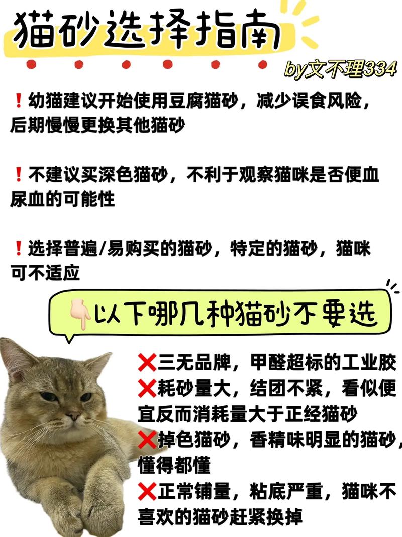 猫咪为什么会吃猫砂_猫咪为什么会吃猫砂呢-第6张图片-后鲨宠物 猫咪为什么会吃猫砂_猫咪为什么会吃猫砂呢-第6张图片-后鲨宠物