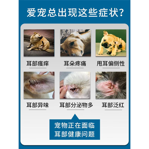 狗狗耳螨用什么药最快_狗狗耳螨用什么药最快最有效-第6张图片-后鲨宠物 狗狗耳螨用什么药最快_狗狗耳螨用什么药最快最有效-第6张图片-后鲨宠物