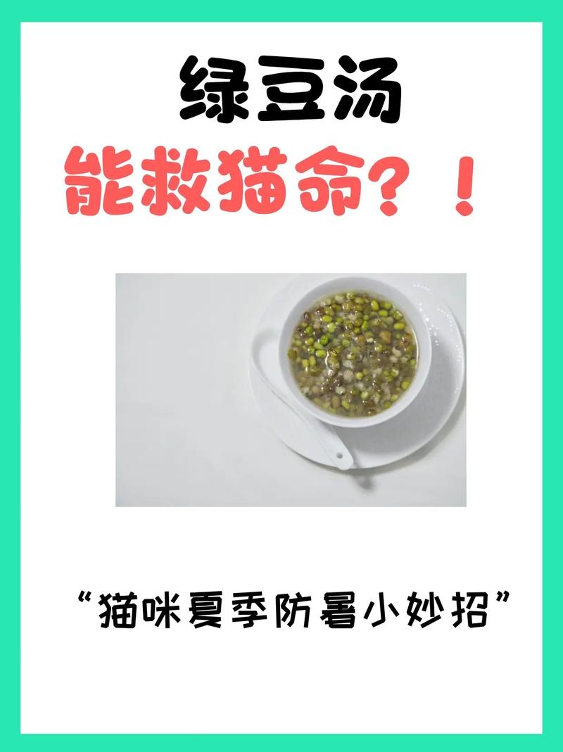  猫咪能喝绿豆汤吗，猫咪喝绿豆汤吗?-第2张图片-后鲨宠物