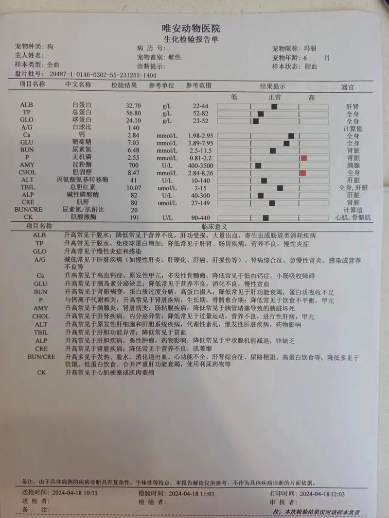 猫咪做b超多少钱,猫咪做b超费用-第3张图片-后鲨宠物 猫咪做b超多少钱,猫咪做b超费用-第3张图片-后鲨宠物