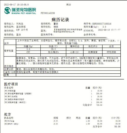 猫咪做b超多少钱,猫咪做b超费用-第5张图片-后鲨宠物 猫咪做b超多少钱,猫咪做b超费用-第5张图片-后鲨宠物