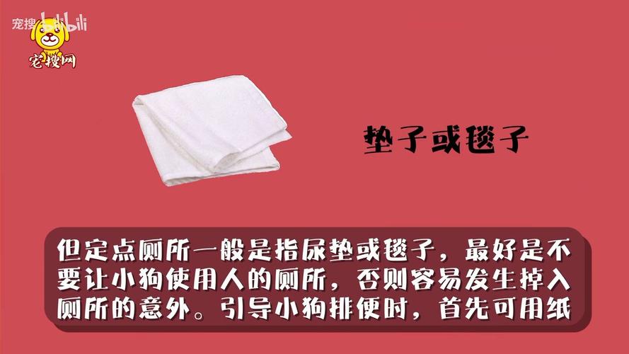 狗狗会自己上厕所吗,小狗狗会自己拉便便吗?-第5张图片-后鲨宠物 狗狗会自己上厕所吗,小狗狗会自己拉便便吗?-第5张图片-后鲨宠物