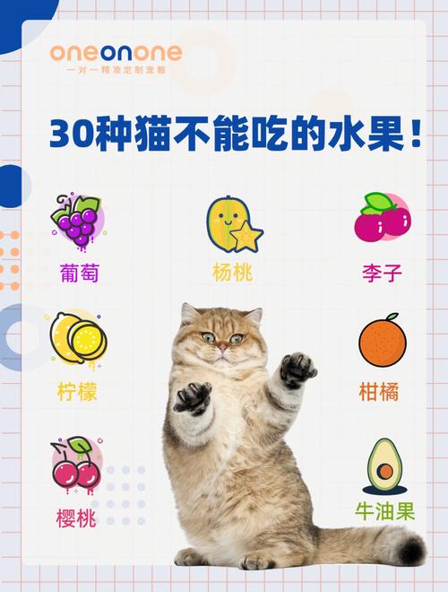 猫咪吃了葡萄怎么办,猫咪不小心吃了葡萄怎么办-第2张图片-后鲨宠物 猫咪吃了葡萄怎么办,猫咪不小心吃了葡萄怎么办-第2张图片-后鲨宠物