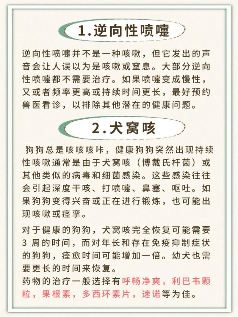 狗狗喘咳嗽怎么回事_狗喘咳嗽什么病