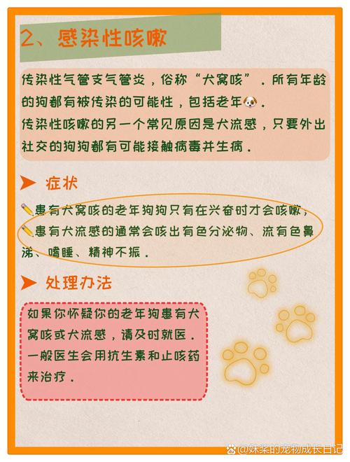 狗狗喘咳嗽怎么回事_狗喘咳嗽什么病-第2张图片-后鲨宠物 狗狗喘咳嗽怎么回事_狗喘咳嗽什么病-第2张图片-后鲨宠物