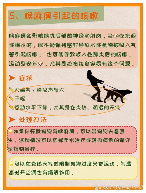 狗狗喘咳嗽怎么回事_狗喘咳嗽什么病-第3张图片-后鲨宠物 狗狗喘咳嗽怎么回事_狗喘咳嗽什么病-第3张图片-后鲨宠物