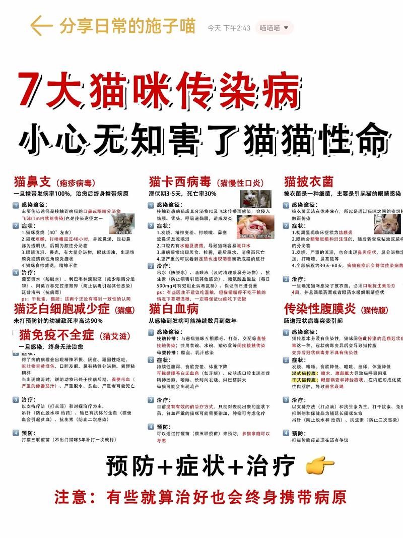 猫咪有什么传染病_猫咪有什么传染病吗-第1张图片-后鲨宠物 猫咪有什么传染病_猫咪有什么传染病吗-第1张图片-后鲨宠物