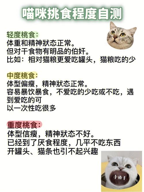 猫咪不吃猫粮怎么回事_猫咪不吃猫粮咋回事-第4张图片-后鲨宠物