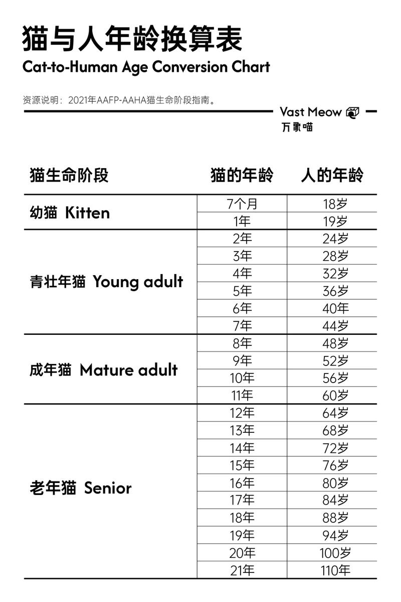 猫咪一岁相当于人几岁_猫咪一岁相当于人几岁寿命-第2张图片-后鲨宠物 猫咪一岁相当于人几岁_猫咪一岁相当于人几岁寿命-第2张图片-后鲨宠物