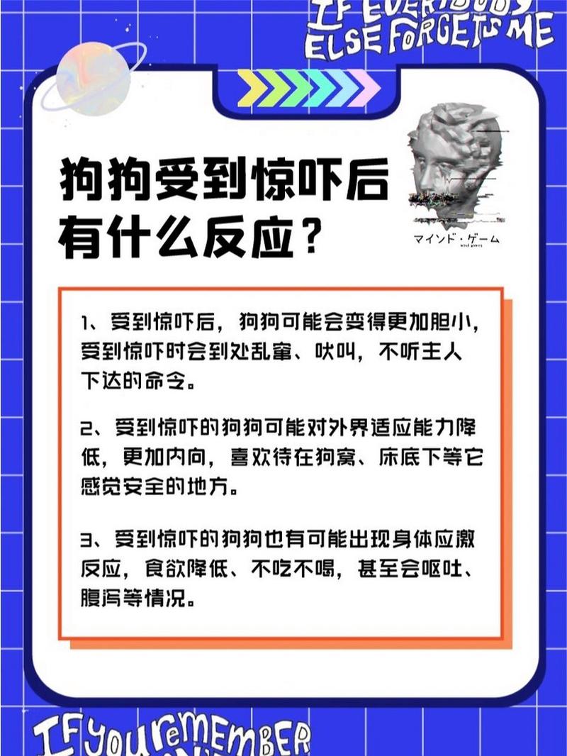 狗狗惊吓过度怎么恢复,狗狗惊吓过度怎么办?-第3张图片-后鲨宠物 狗狗惊吓过度怎么恢复,狗狗惊吓过度怎么办?-第3张图片-后鲨宠物