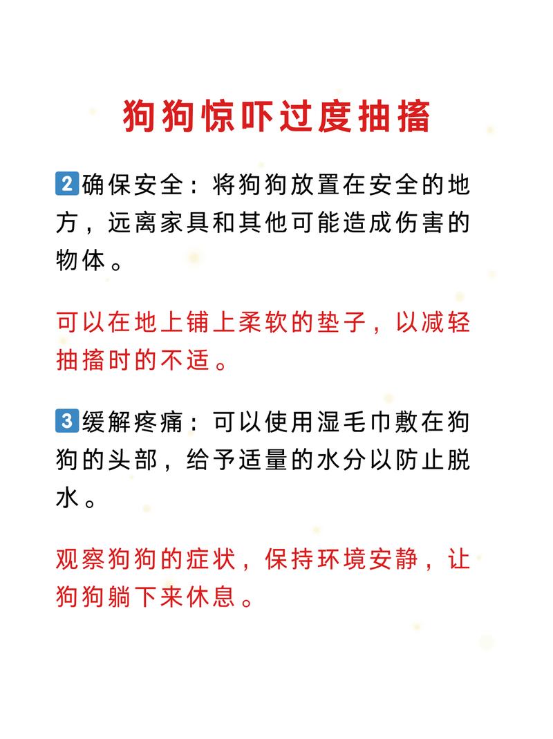 狗狗惊吓过度怎么恢复,狗狗惊吓过度怎么办?-第4张图片-后鲨宠物 狗狗惊吓过度怎么恢复,狗狗惊吓过度怎么办?-第4张图片-后鲨宠物