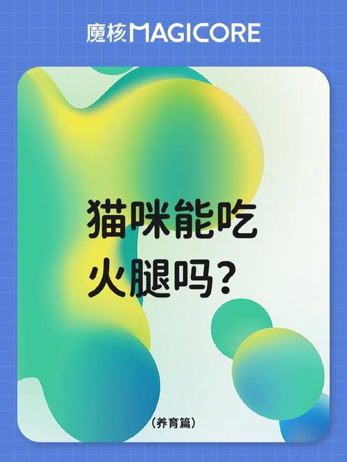 猫咪吃火腿肠吗,遇见流浪猫可以喂什么?-第5张图片-后鲨宠物 猫咪吃火腿肠吗,遇见流浪猫可以喂什么?-第5张图片-后鲨宠物