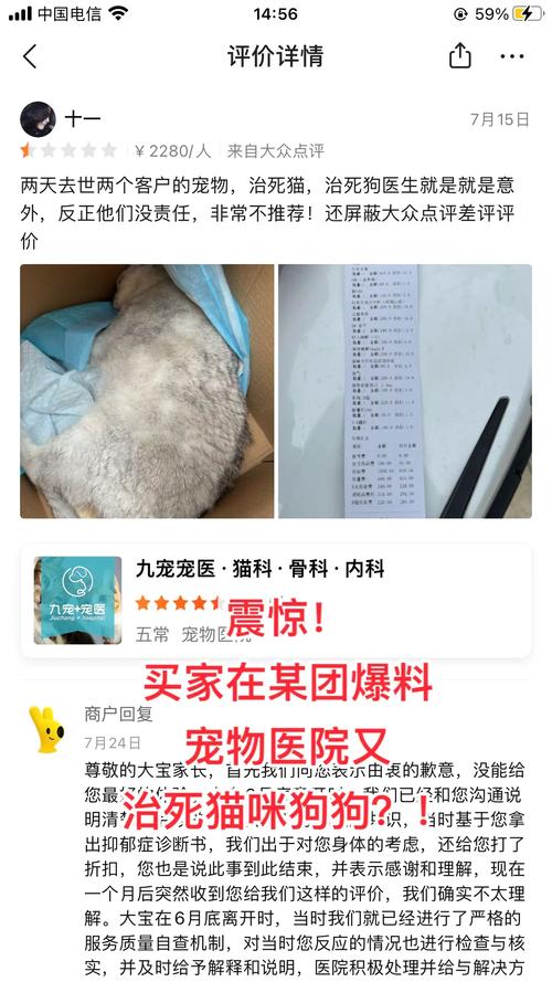 猫咪剃毛一般多少钱_猫咪剃毛一般多少钱?