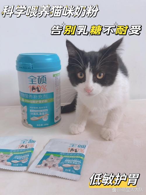 猫咪能喝米汤吗,猫能喝米汤吗?-第3张图片-后鲨宠物 猫咪能喝米汤吗,猫能喝米汤吗?-第3张图片-后鲨宠物