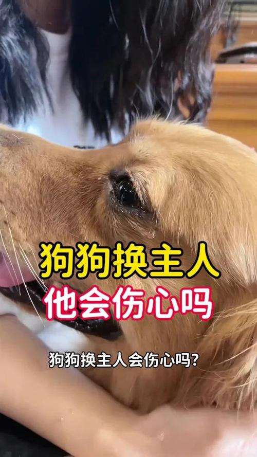  狗狗会水土不服吗，狗狗会水土不服么