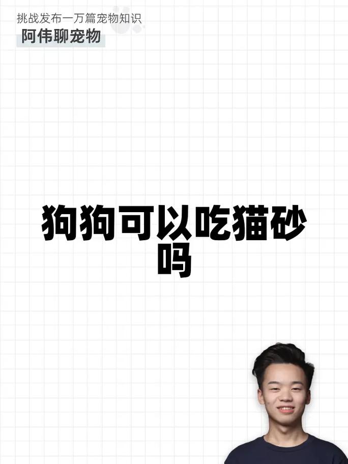 狗狗可以用猫砂吗，狗狗可以用猫砂么？