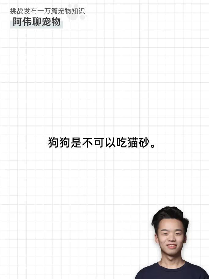 狗狗可以用猫砂吗，狗狗可以用猫砂么？-第4张图片-后鲨宠物