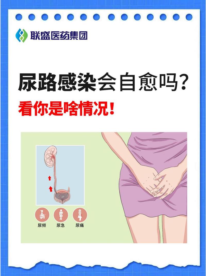 狗狗尿路感染怎么办，狗狗尿路感染怎么办最快最有效？-第1张图片-后鲨宠物