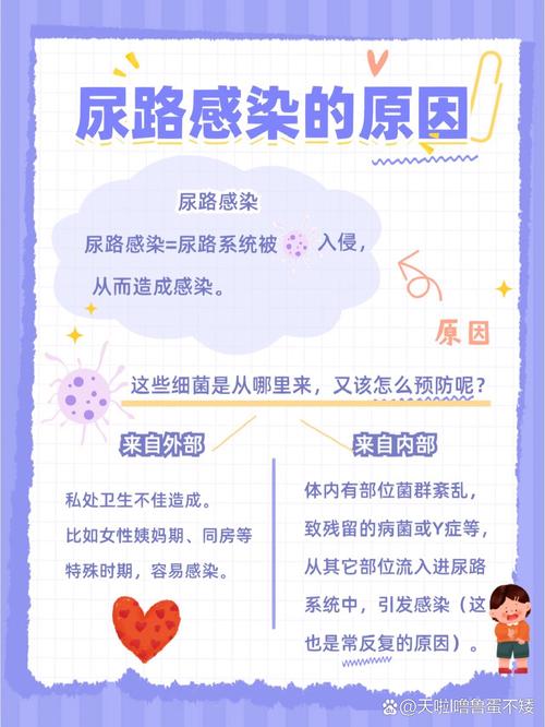 狗狗尿路感染怎么办，狗狗尿路感染怎么办最快最有效？-第3张图片-后鲨宠物