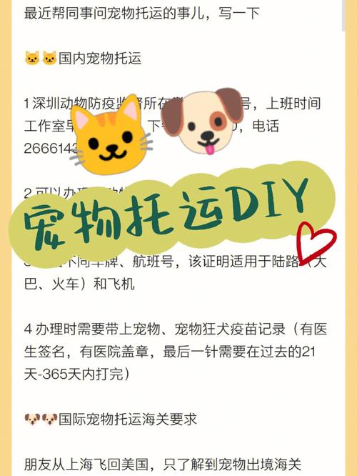 猫咪可以带上飞机吗，猫咪可以带上飞机吗 需要托运多少钱？