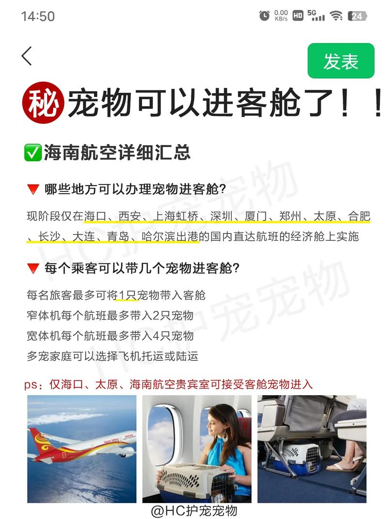 猫咪可以带上飞机吗,猫咪可以带上飞机吗 需要托运多少钱?-第6张图片-后鲨宠物 猫咪可以带上飞机吗,猫咪可以带上飞机吗 需要托运多少钱?-第6张图片-后鲨宠物