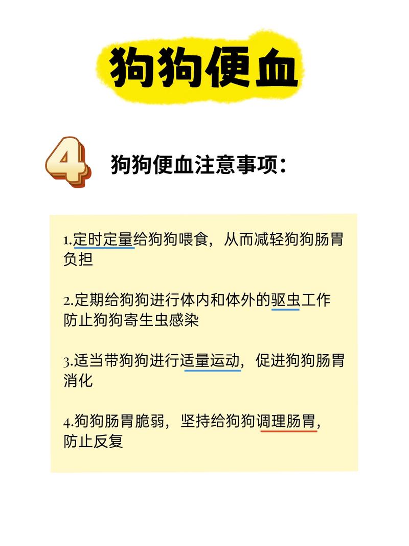 成年狗狗拉血是什么原因,成年狗狗拉血用什么药比较好-第3张图片-后鲨宠物 成年狗狗拉血是什么原因,成年狗狗拉血用什么药比较好-第3张图片-后鲨宠物