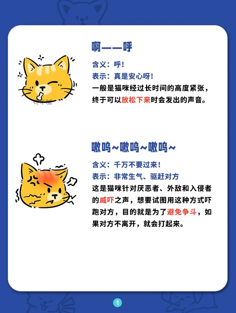 猫猫一直叫是什么原因,猫猫一直叫是为什么-第5张图片-后鲨宠物 猫猫一直叫是什么原因,猫猫一直叫是为什么-第5张图片-后鲨宠物