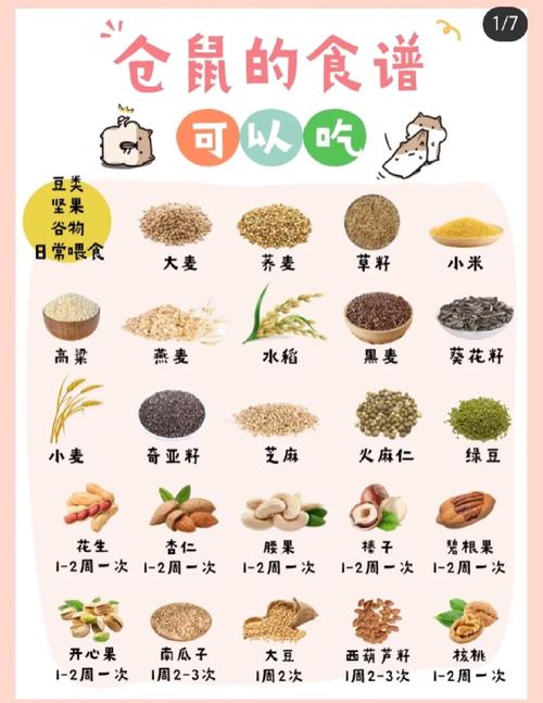 猫咪不吃小鱼干，猫咪不吃小鱼干是什么原因？-第1张图片-后鲨宠物